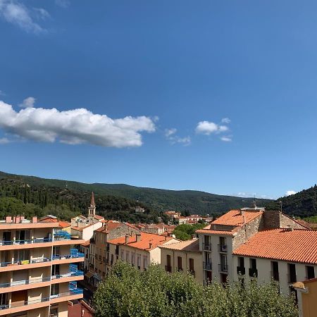 Hotel Des Bains Et Des Gorges Amélie-les-Bains-Palalda Exterior foto